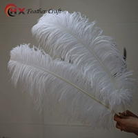 Белый, 65-70см