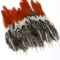 Красный меч 4-8см, 5 круглых головок.