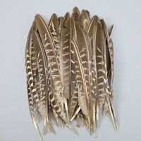 20 штук мужских перьев меча основного цвета