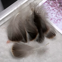 Zhongdiao, около 50 оригинальных цветов