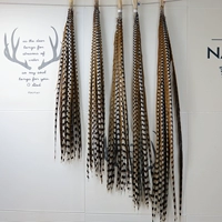 Выбранные натуральные цвета около 110 см 1