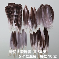 50 смешанных зеленых перьев