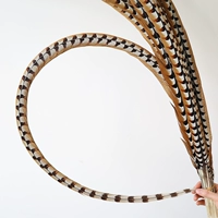 Выбранные натуральные цвета около 160 см 1