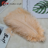 1 цвет шампанского