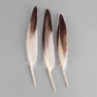 Темно -серый № 8 заостренная цветочная утка волосы Первичный цвет 20 корней