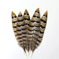 Выбранные натуральные цвета 10-15 см 2