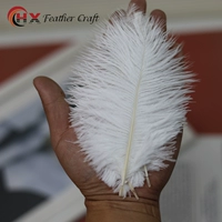 Высококачественный, белый, 15-20см