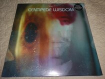 Spot after spot shake Hoo Centipede Wisdom limited black gum record LP fresh slowdive