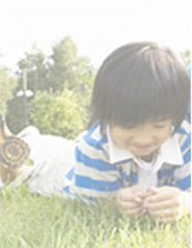 Connecteur pour téléphone portable - Ref 322207 Image 109