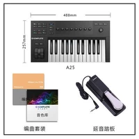 A25+Arancement Set+Pedal Yanyin