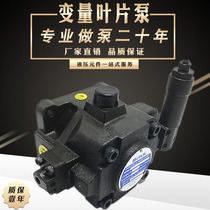 High pressure variable vane pump VE2-40FA3 FA4 FA2 VD2-30F-A3 FA4 FA2 hydraulic oil pump