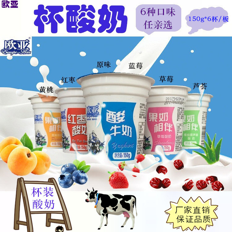  Large Grounds Ranch Original Taste Yogurt Cup Sour Eurasian Milk Halal Yogurt 150g * 6 cups * 2 plates