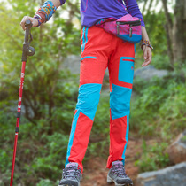 Every day special outdoor quick-drying pants Womens trousers quick-drying large size hiking sports hiking elastic pants