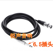 X4 Microphone Car Farmer to 6 5mm Microphone Cannon Audio Cannon Audio Cable Connector Line