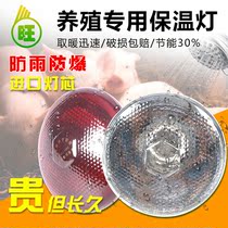 Brood insulation lamp Adjustable temperature Breeding chicks pigs with poultry ceramic turtle sun back lamp heating heating bulb