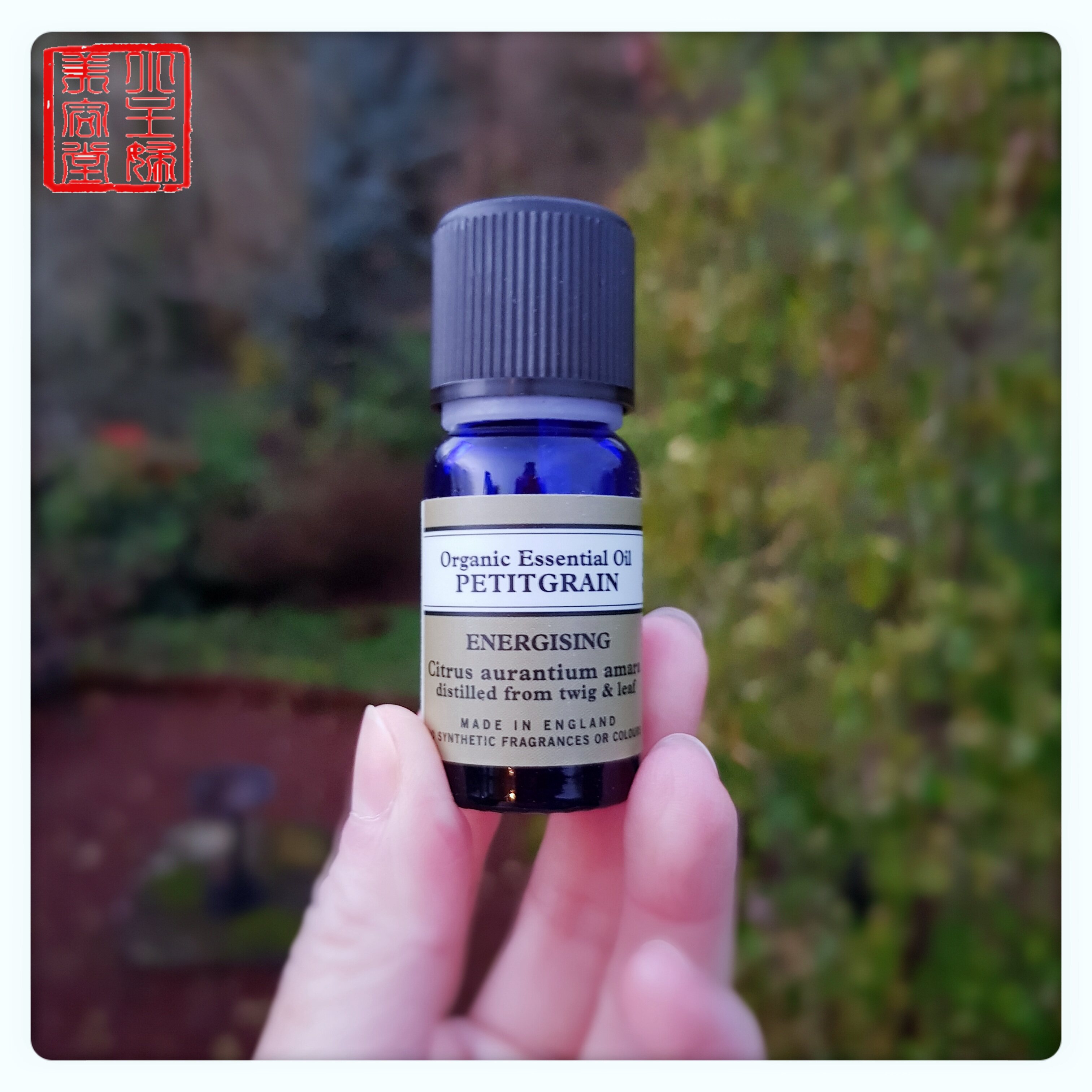 NYR Organic Orange Leaf Single - sided essential oil 10ml Petitgrain Vitality in September 21
