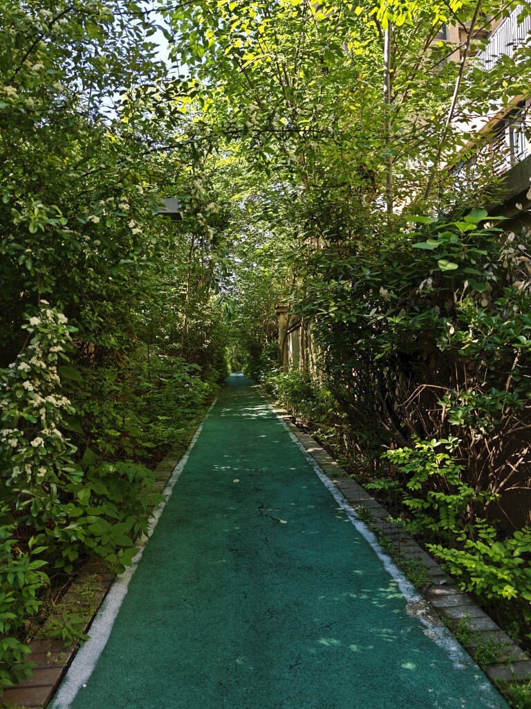 毛栗子跑步运动馆