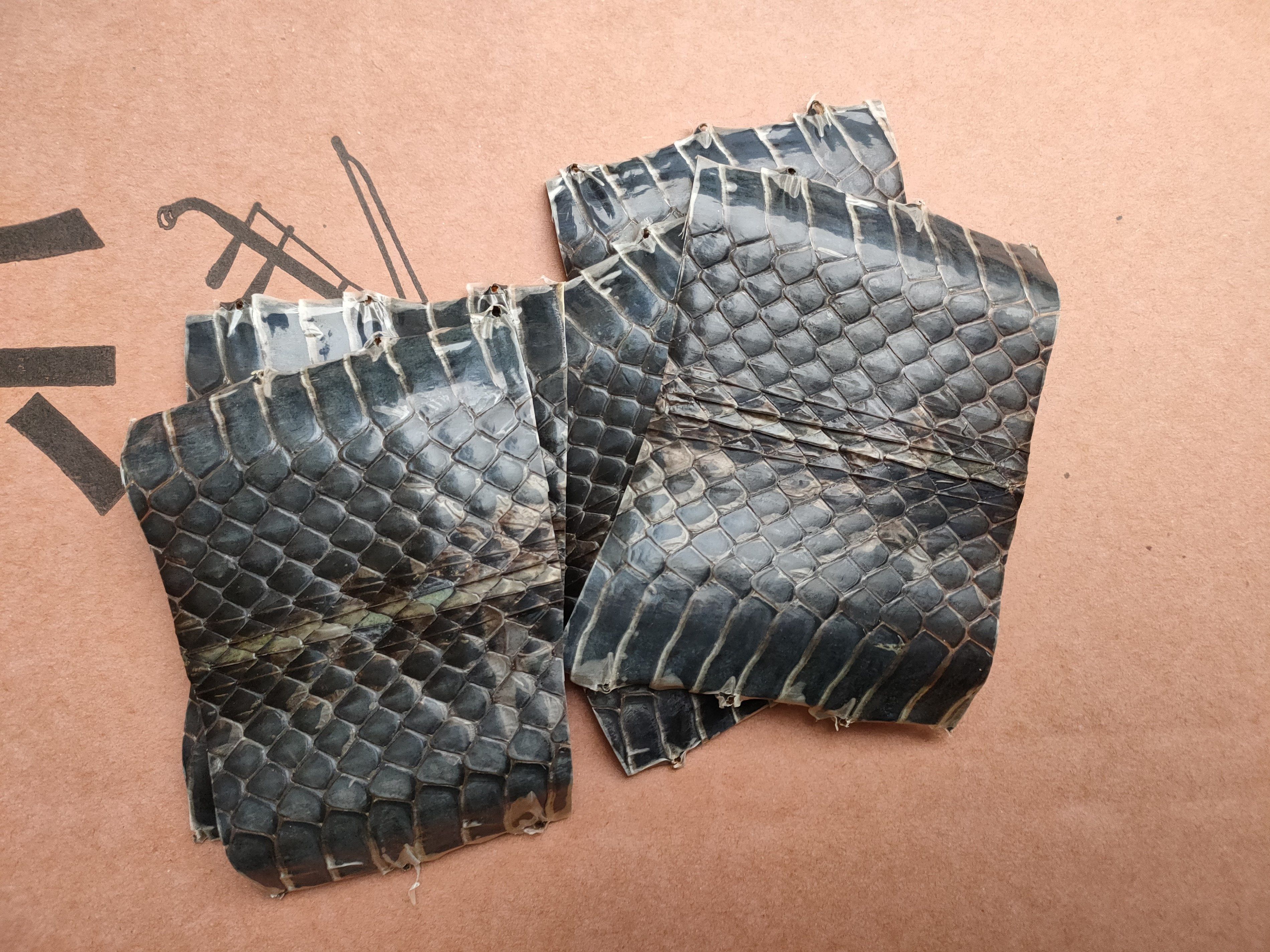 Kyohu Accessories Kyohu Snake Piu Slightly Serpent Leather 3-4 Catty Snakes Middle Lower Section Kyohu Musical Instrument Skin Material