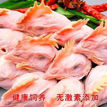 Chicken head raw fresh 5 catties frozen large chicken head raw chicken head fresh quick-frozen chicken head chicken sub-segmented barbecue