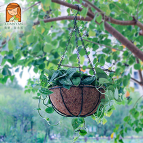 Coconut palm basket flower pot hanging hanging hanging orchid flower pot creative personality half-wall adhesive hook Green rose meat hanging pot