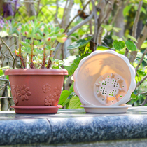 Alice creative lace round resin small flower pot office desktop plastic simple meat mini green plant pot