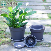 New product special Alice plastic flower pot environmental protection plain burning wind and tasteless breathable green chloropam balcony Outdoor