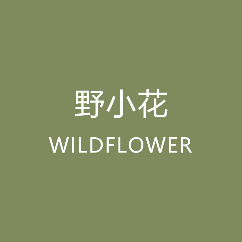 WILDFLOWER 野小花