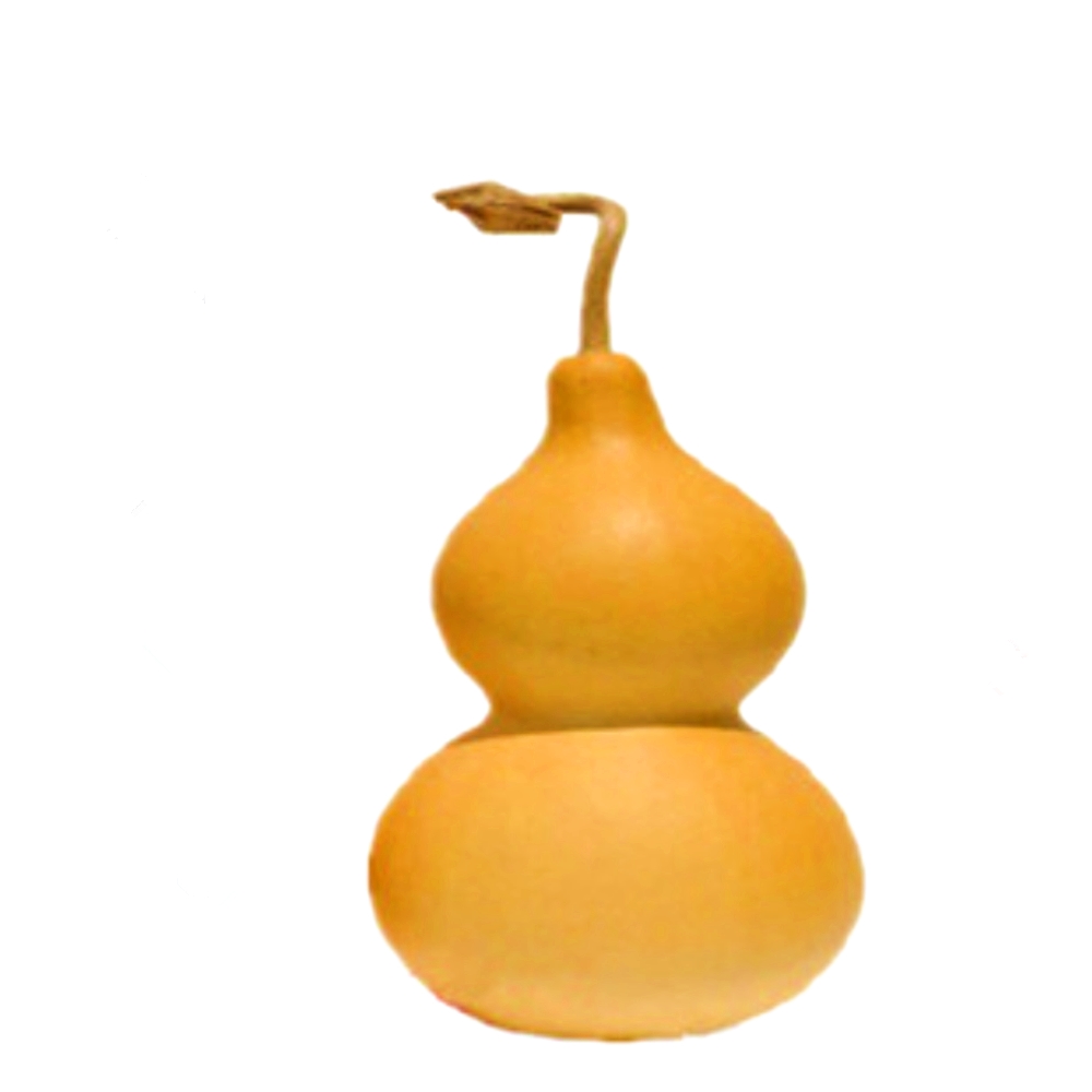 Boutique with faucet Natural size medium Feng Shui gourd ornaments Eight treasures long gourd American small gourd