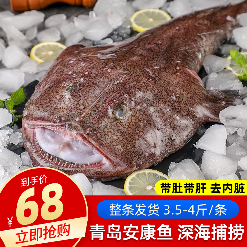 Amcon Fish Fresh Raw Live Deep Sea Fish Tersea Catch Fish Clams Fish Big Mouth Fish for Fish Liver