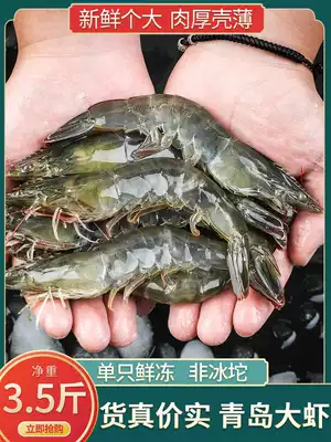 Prawn fresh seafood super large aquatic products Qingdao raw sea shrimp fresh base shrimp frozen prawns green shrimp