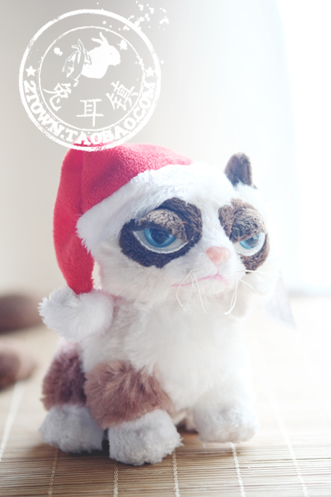 Peluche manga grumpy cat - Ref 2696050 Image 58