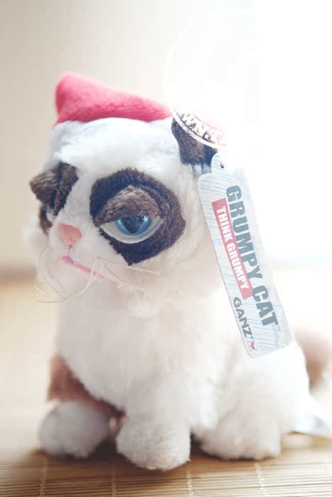 Peluche manga grumpy cat - Ref 2696050 Image 59