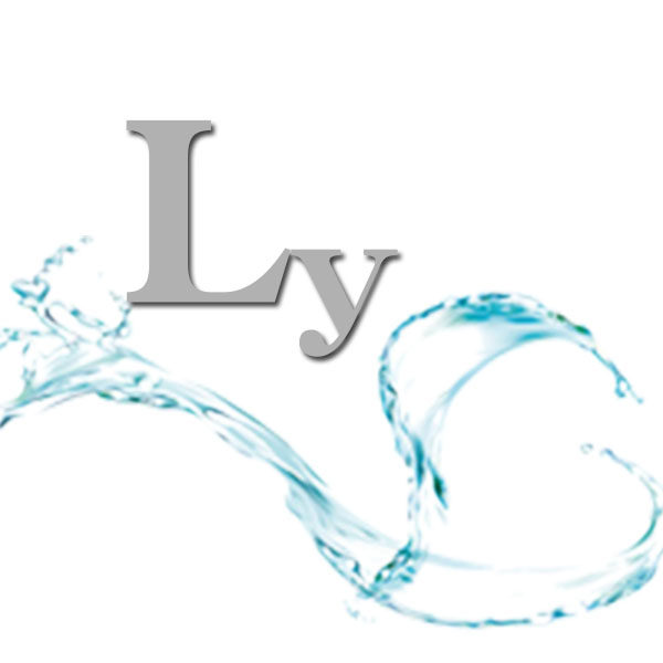 永丽商贸的LOGO