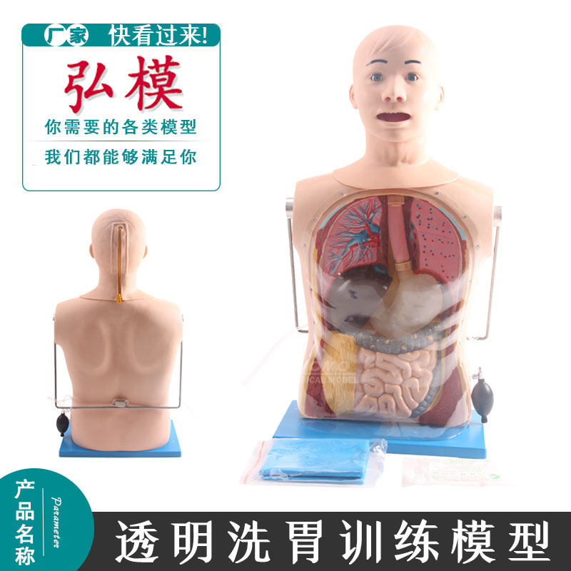 多功能透明洗胃训练模型人体内脏结构护理教具上半身教学模型
