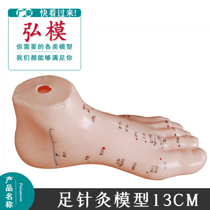 足部针灸穴位模型13CM 针灸按摩穴位脚部模型教学掌握想训练模型