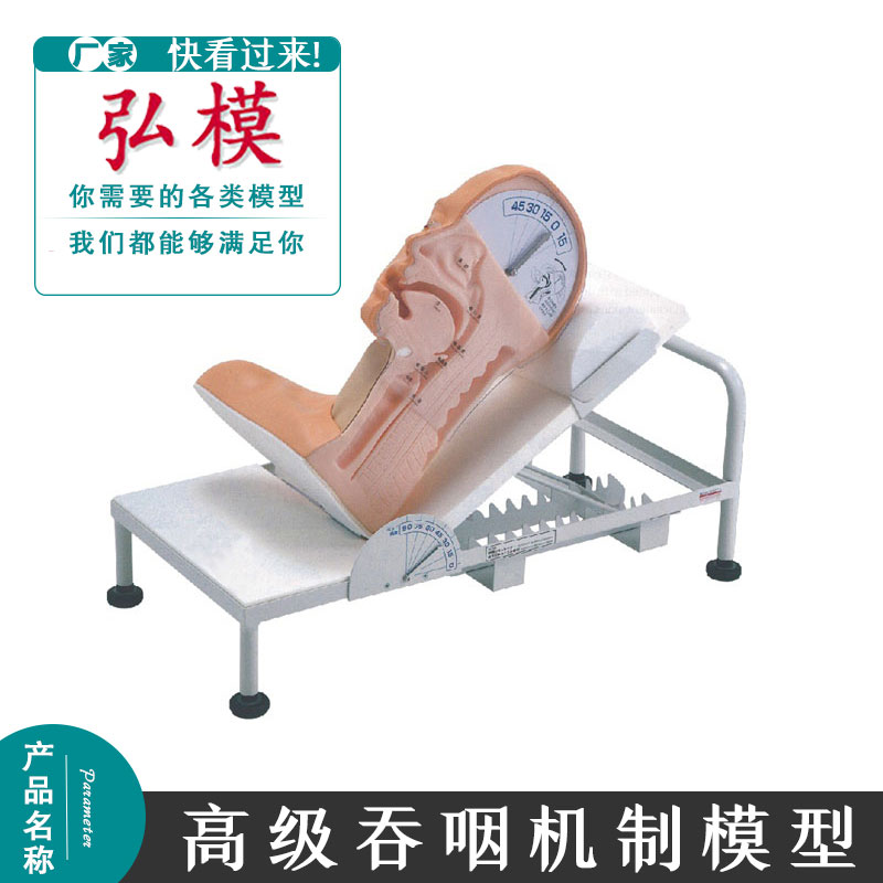 弘模高级吞咽机制模型口腔护理模型吞咽练习机制模型原理误咽原因