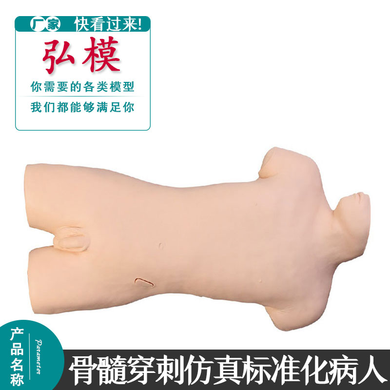 骨髓穿刺仿真标准化病人 高级骨骼穿刺模型 成人穿刺术模拟人