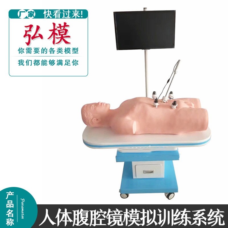 正品 仿真人体腹腔镜模拟训练系统 基本技能训练手术操作模型
