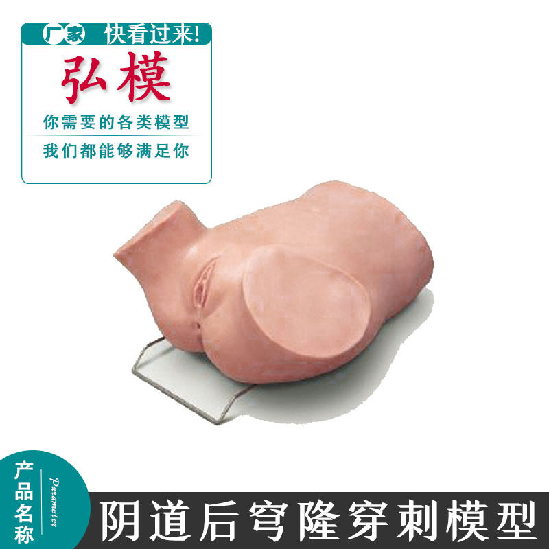阴道后穹隆穿刺训练模型