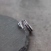 17-то какое-то кольцо перьев