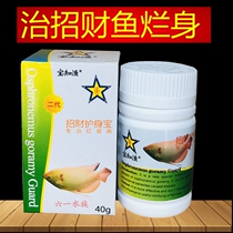 Baozhiyu lucky body protection treasure Second generation Arowana rotten body parrot fish blindfolded head hole eye protection treasure aquarium ornamental fish medicine