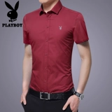 Playboy, летняя тонкая рубашка для отдыха, одежда для верхней части тела, трендовый лонгслив, в корейском стиле