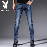 3108 Китайский синий