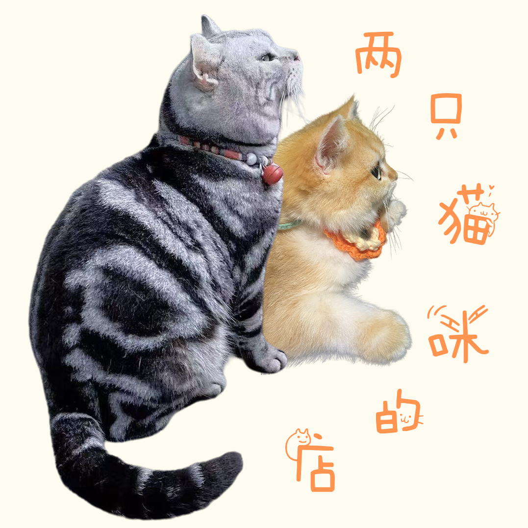两只猫咪的店