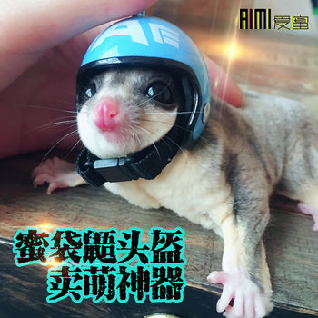 Sugar glider mini hat toy supplies