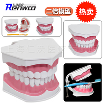 Oral preparation tooth model dental detachable teeth gingival exercise mold denture mold dental dental materials