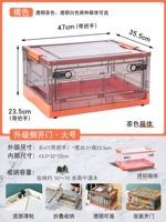 Чайный цвет [крупный оранж]]