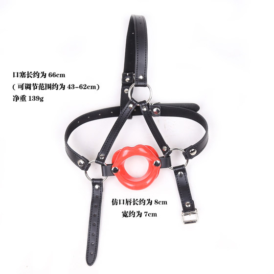 SM torture devices, sex toys, sex tools for men and women, forced mouth gags, shackles, deep throat mouth openers, adult alternative toys