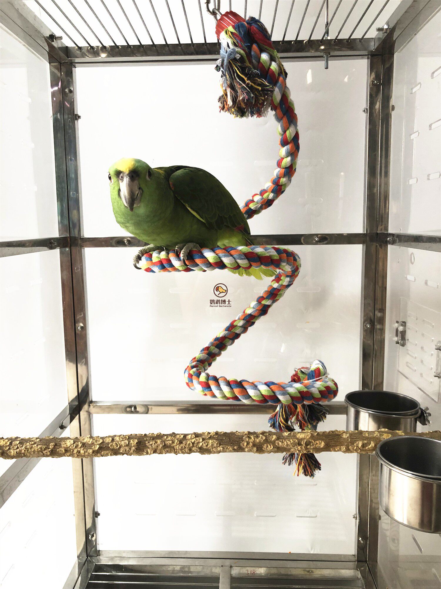 Parrot cotton rope toy bird climbs rope cotton rope swing rope rod rod rod rod rod stairs to bite toy station rod