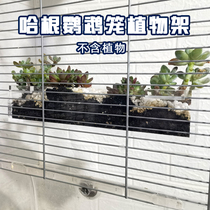 Parrot Hagen Cage Plant Seed Germination Box Ecological Bird Seed Germination Stand Bird Cage Accessories Bird Supplies